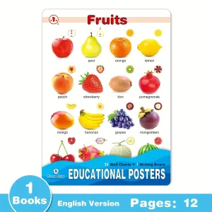 12in1 Object Recognition Education Posters with Erasable Board
