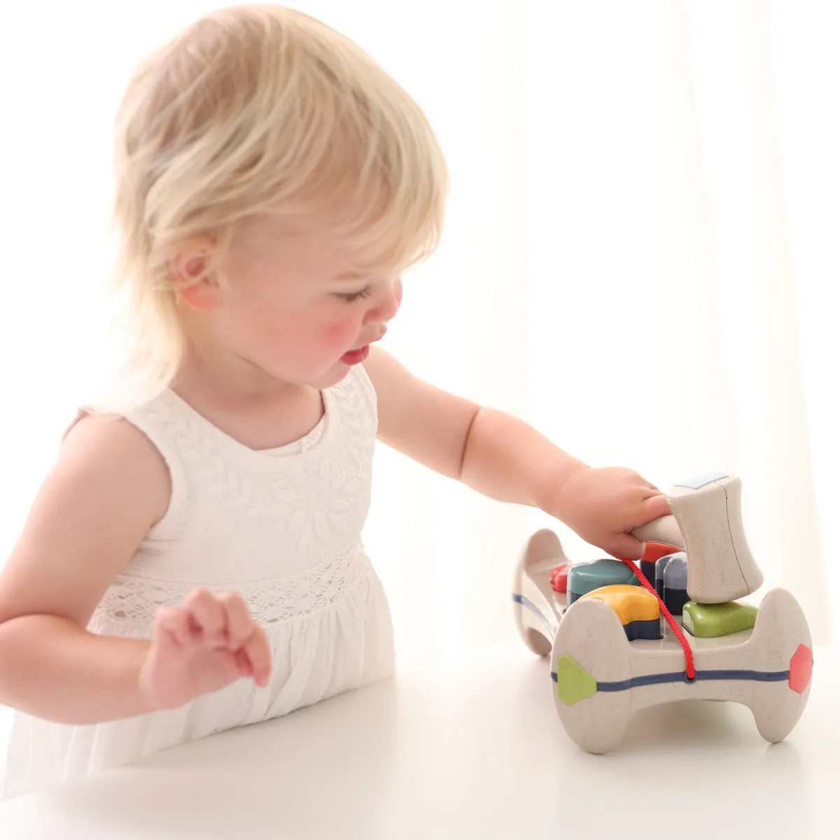 Bio Sorter Play Bench
