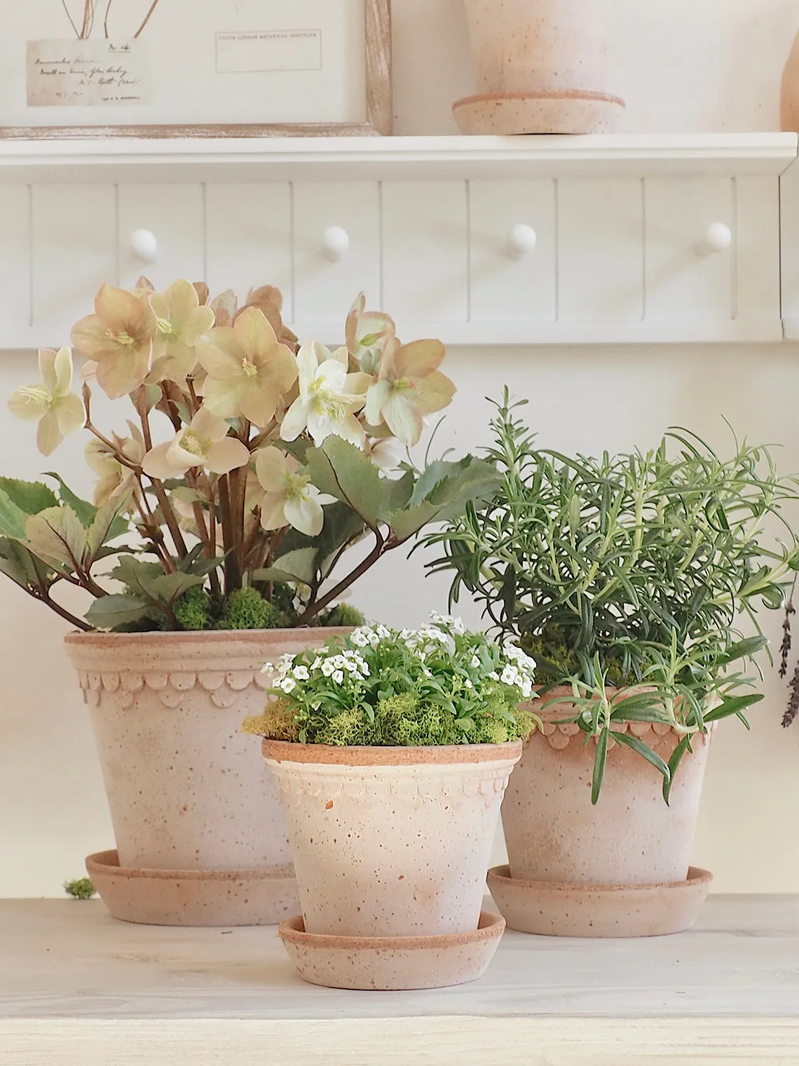 Copenhagen Pot