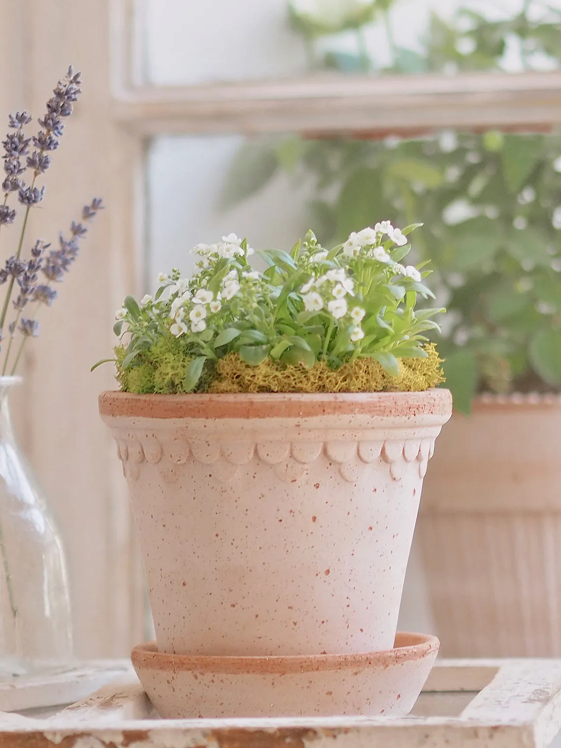Copenhagen Pot