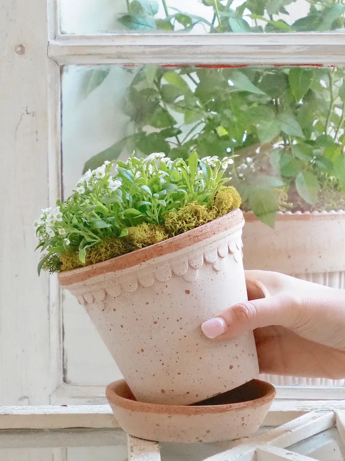 Copenhagen Pot