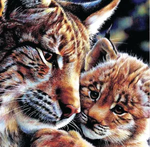 Diamond Art Tiger & Cub 30cm X 30cm