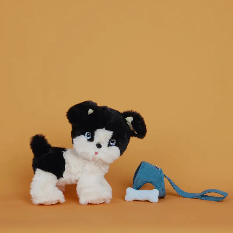 Dinkum Dogs - Lucky - Blk/White