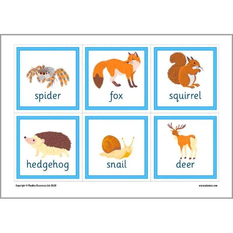 Educational Games FreeBee Pack