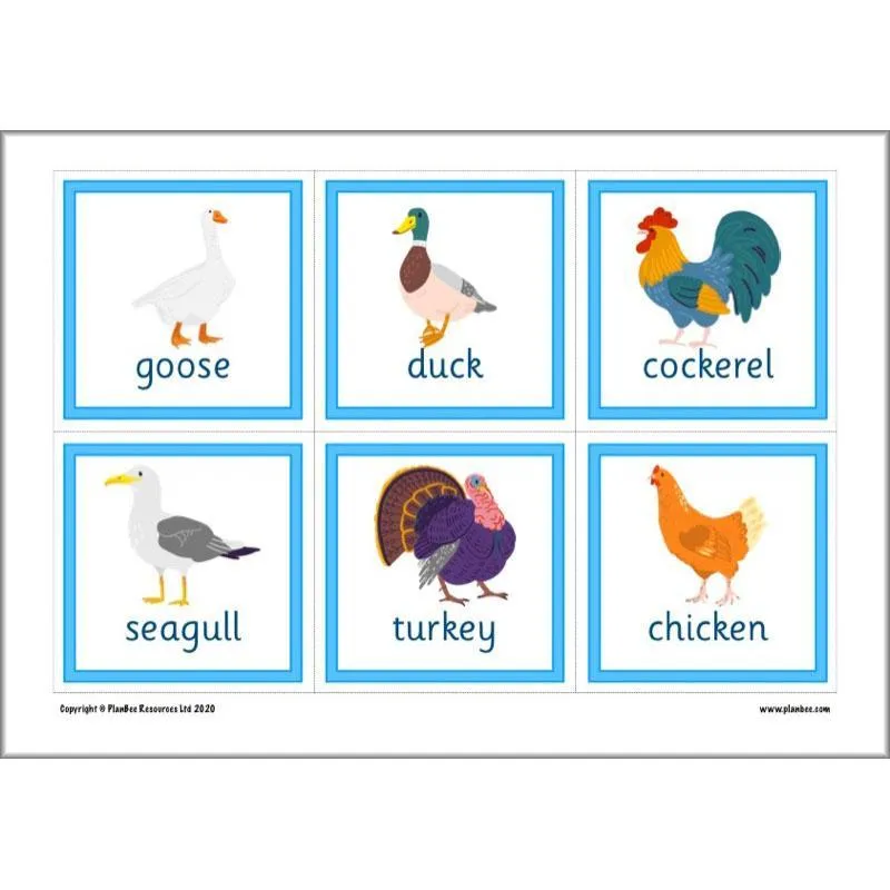 Educational Games FreeBee Pack