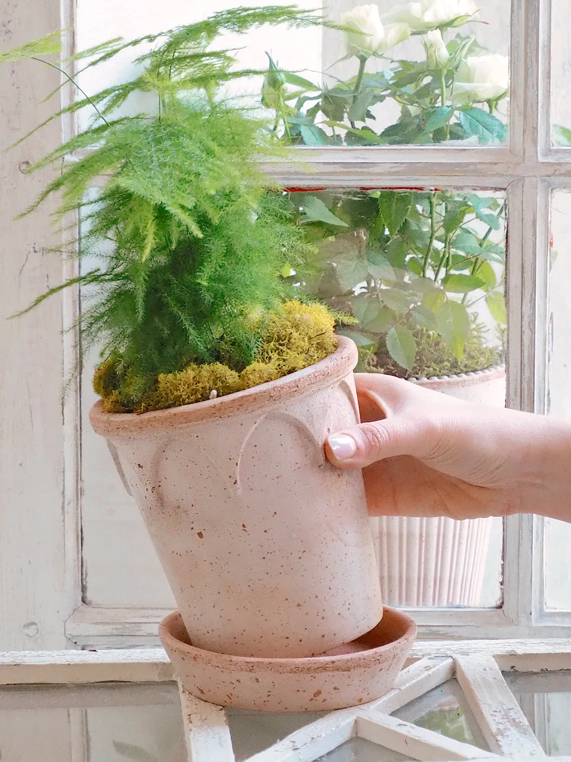 Elizabeth Pot