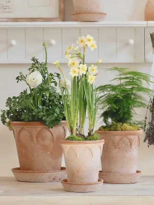 Elizabeth Pot