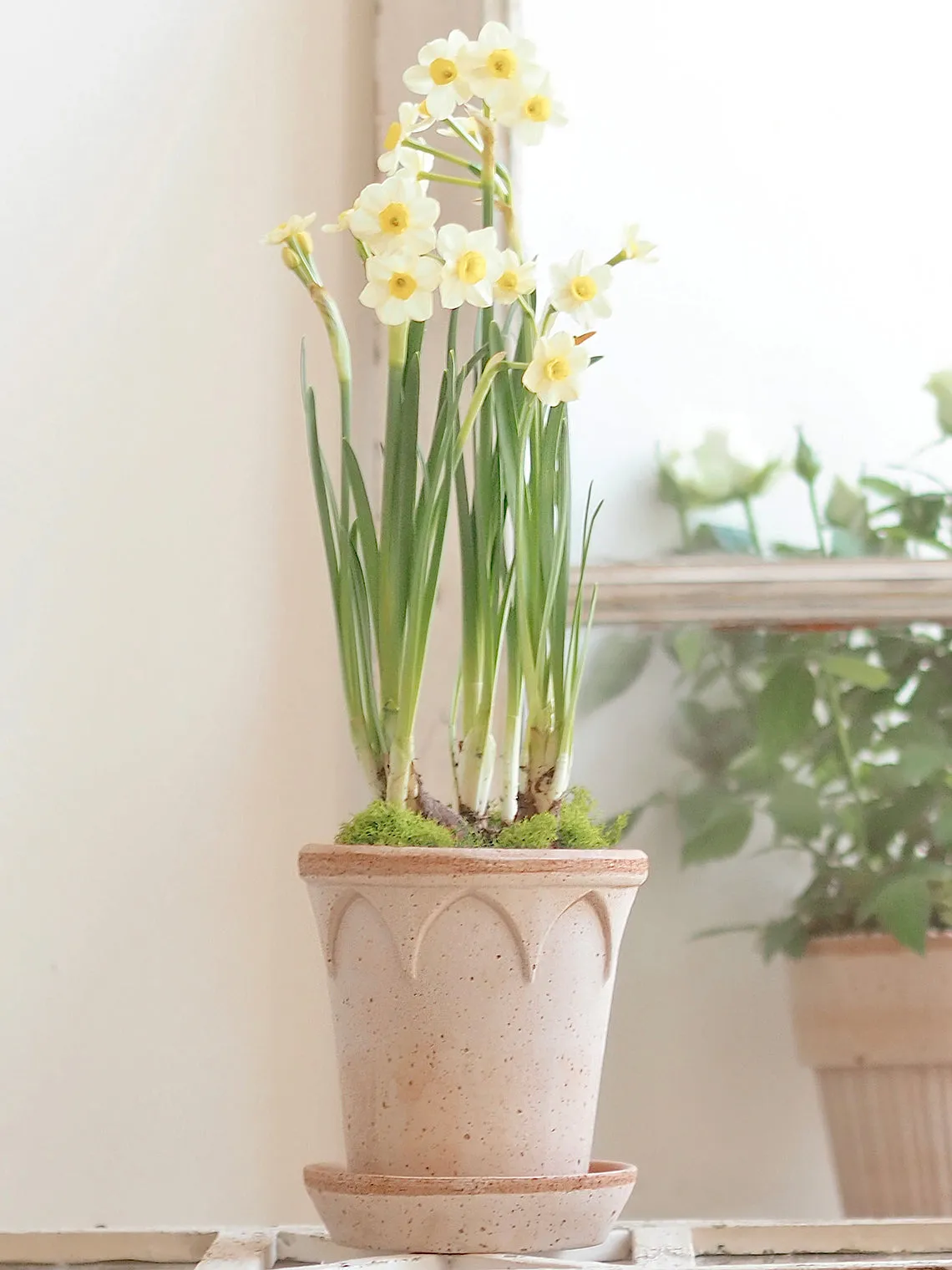 Elizabeth Pot