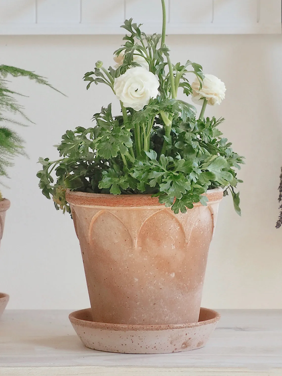 Elizabeth Pot