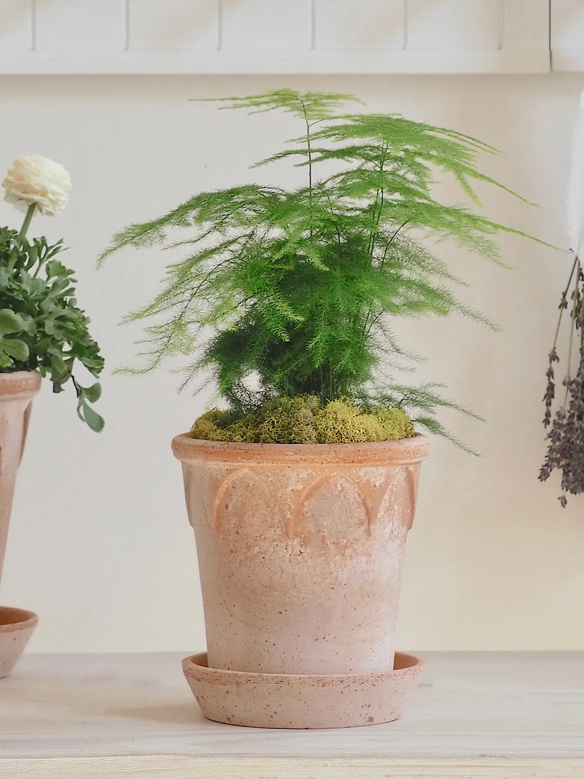 Elizabeth Pot
