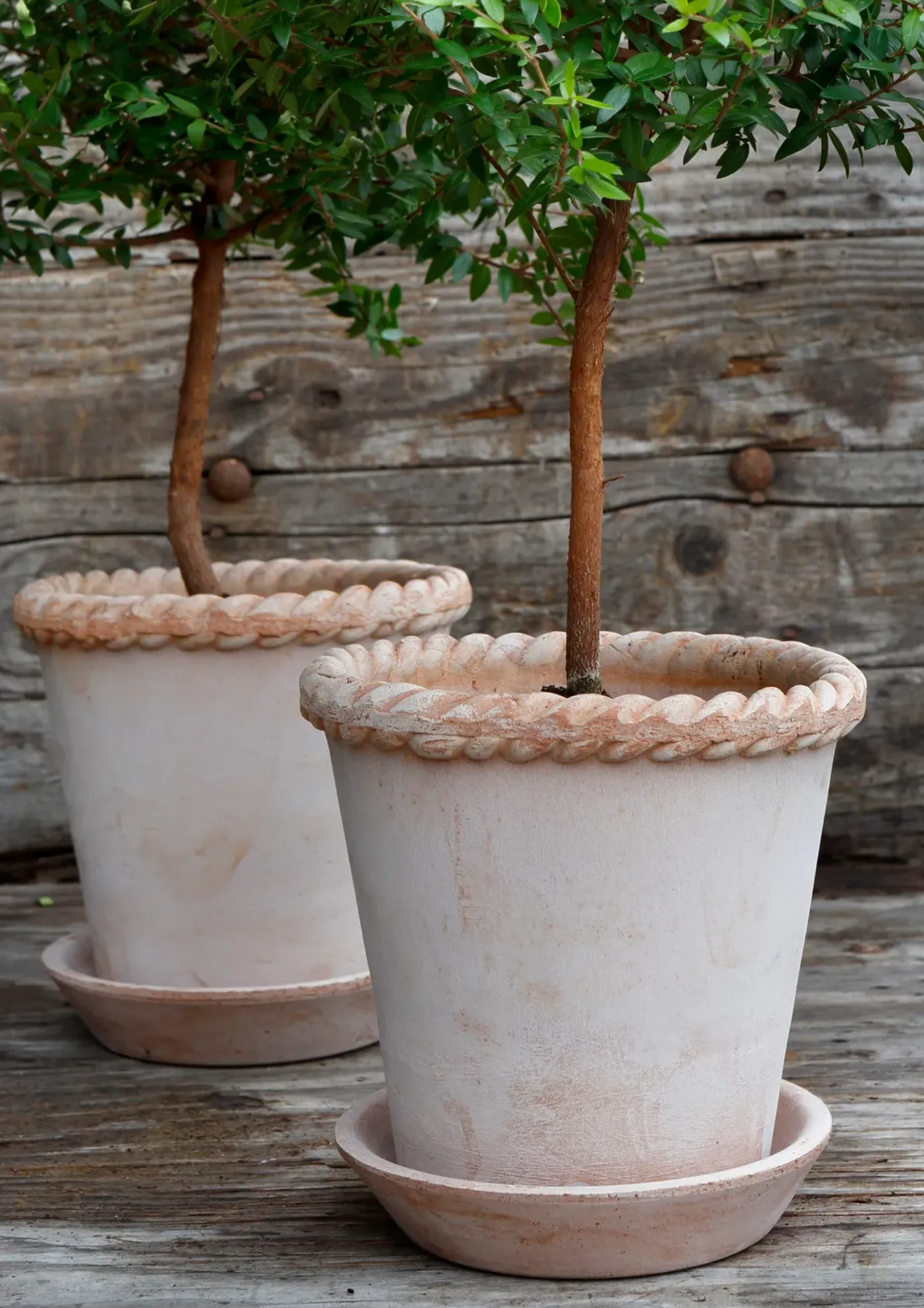 Emilia Pot