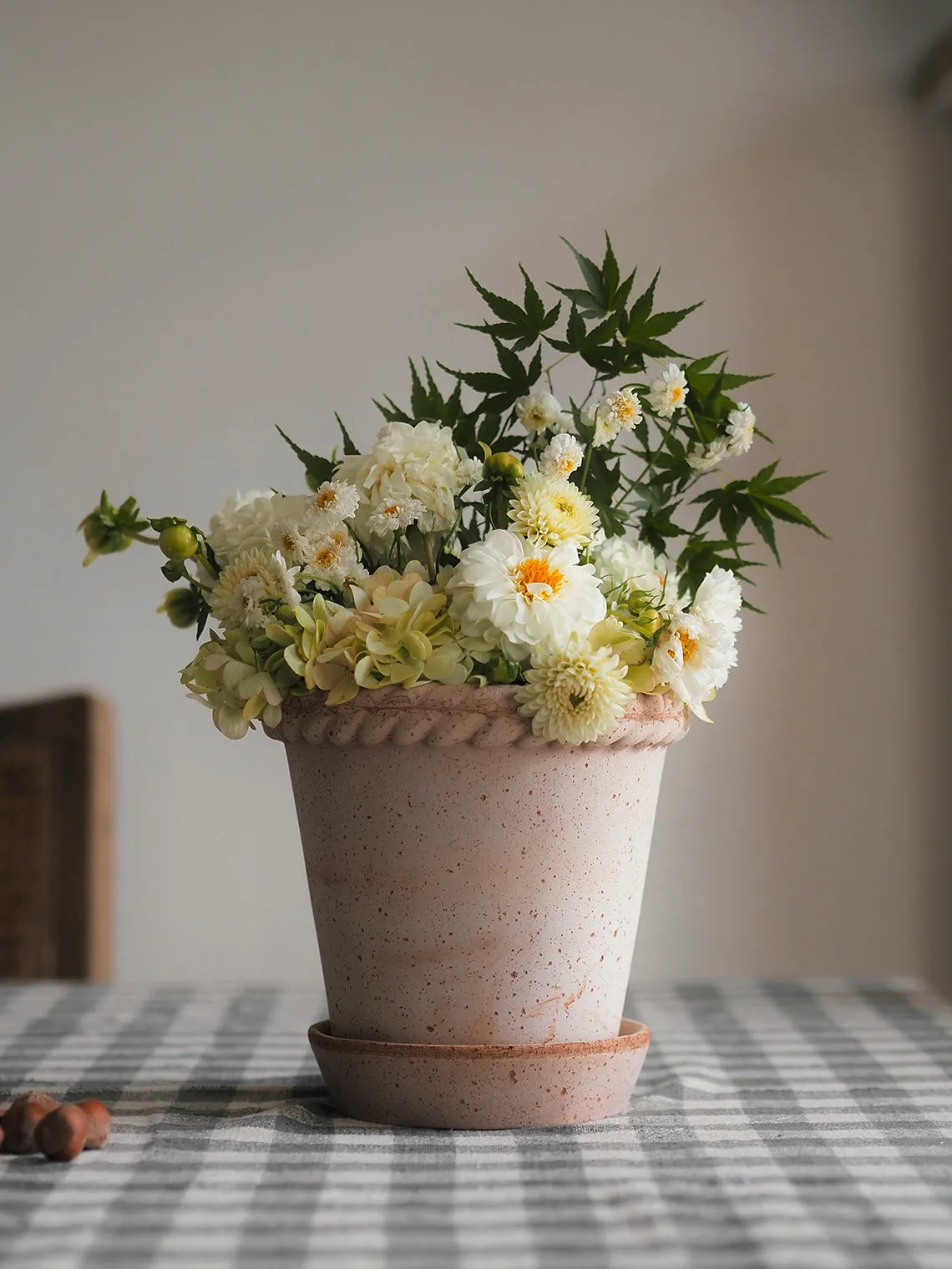 Emilia Pot