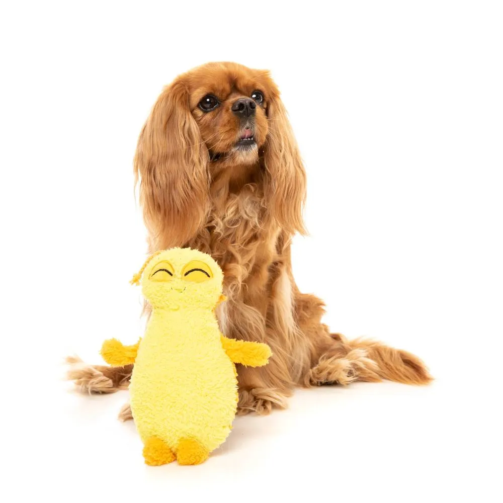 Fuzzyard Plush Dog Toy Belly the Bed Bug