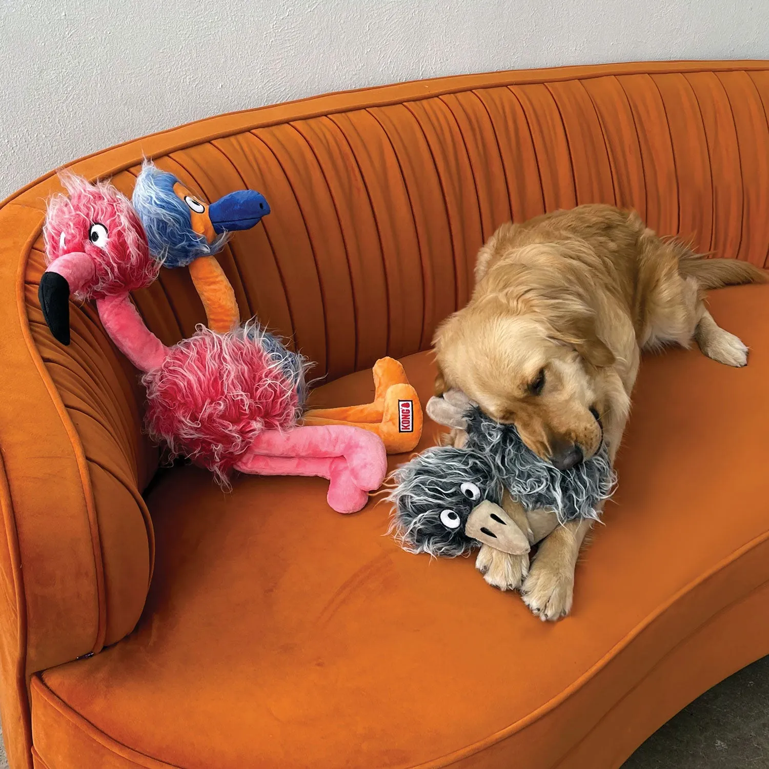 Kong Comfort Birds