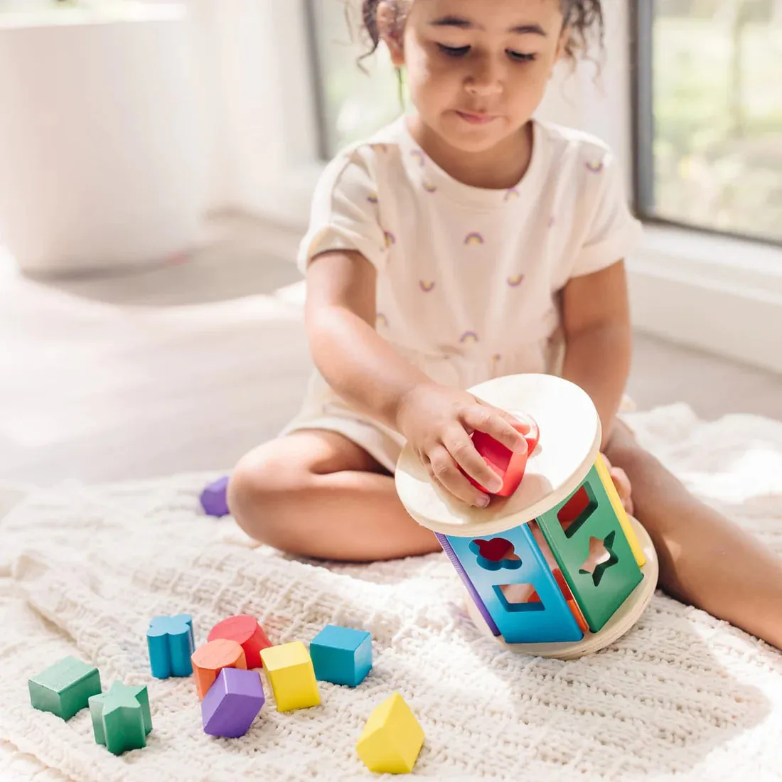 Match & Roll Shape Sorter