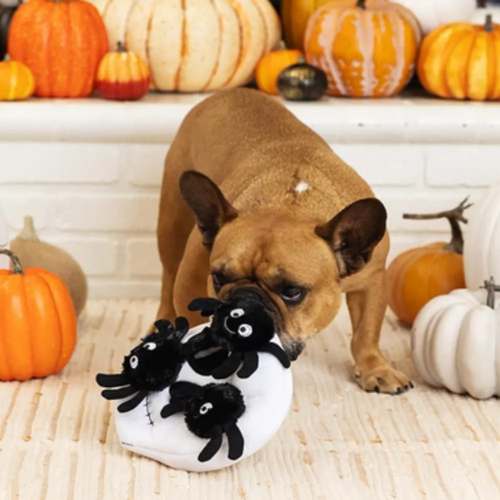 Mr Skulls with Spiders Plush Dog Toy