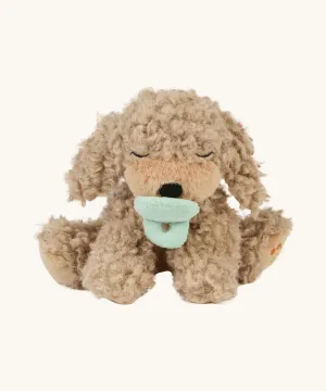 Olli Ella Dinkum Puppy - Benny
