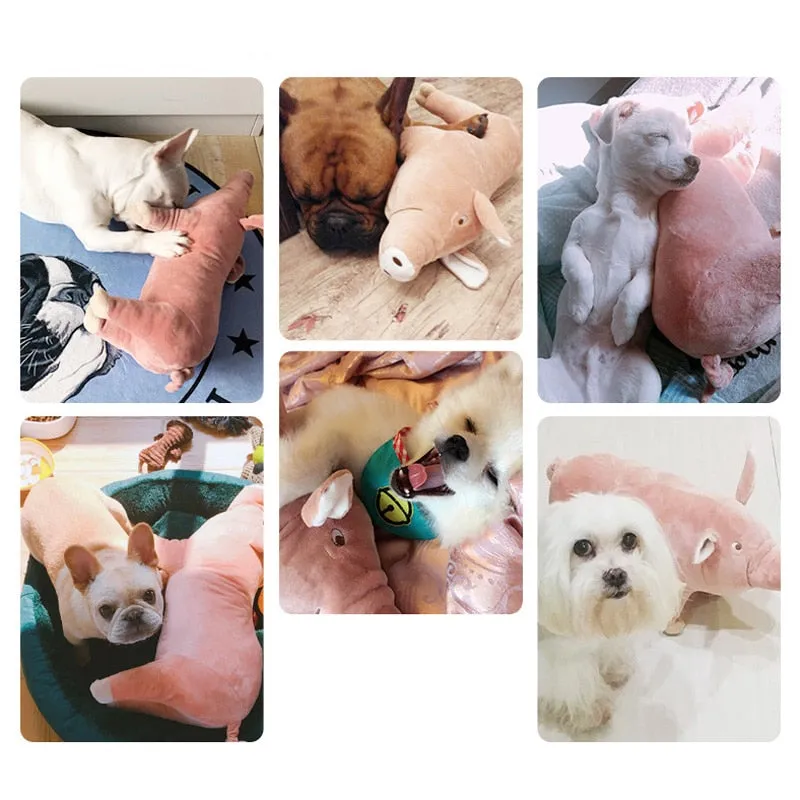 Plush Squeaky Pig Toy