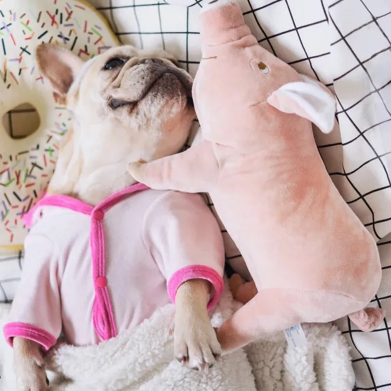 Plush Squeaky Pig Toy