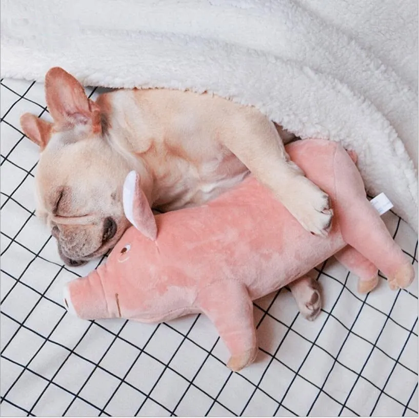 Plush Squeaky Pig Toy