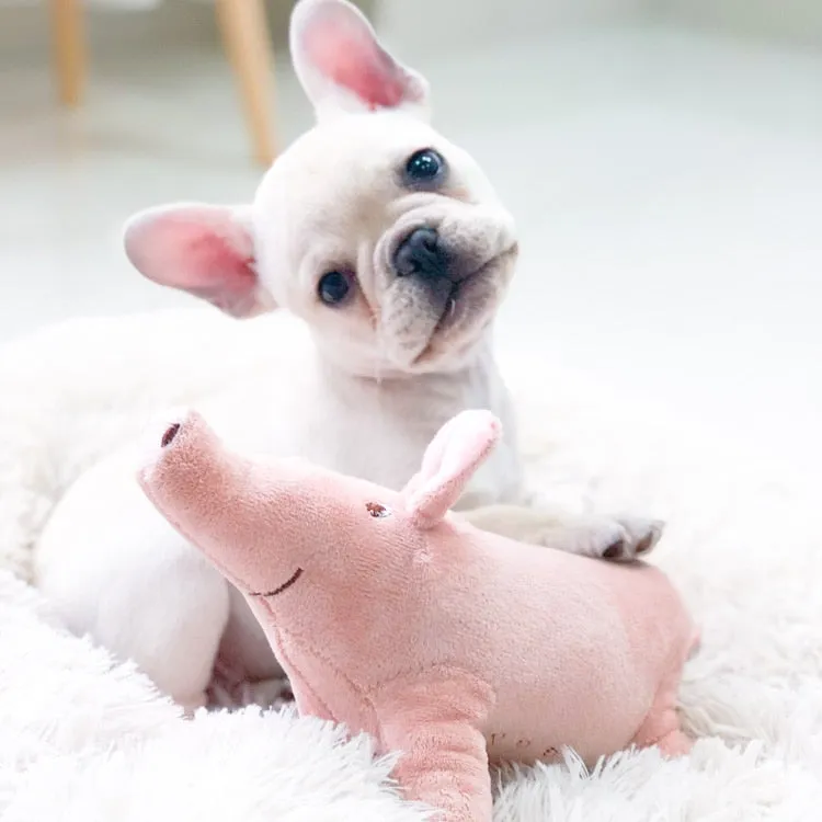 Plush Squeaky Pig Toy