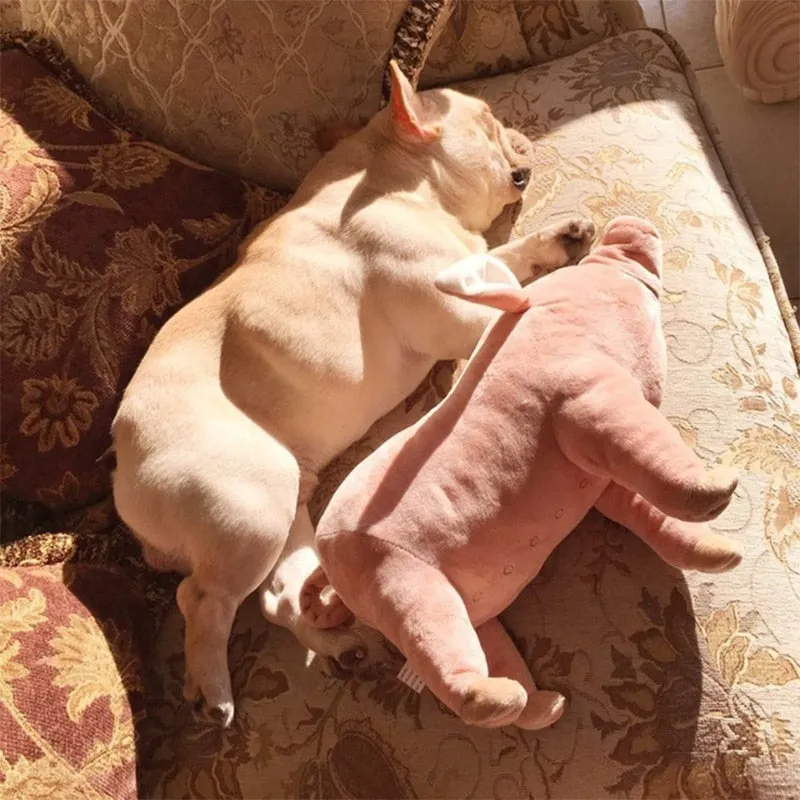 Plush Squeaky Pig Toy