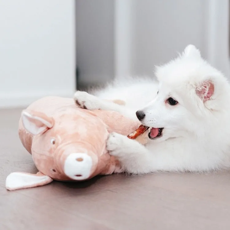 Plush Squeaky Pig Toy