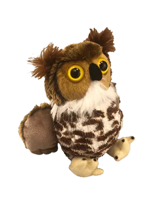 Pocket-Sized Great-Horned Owl