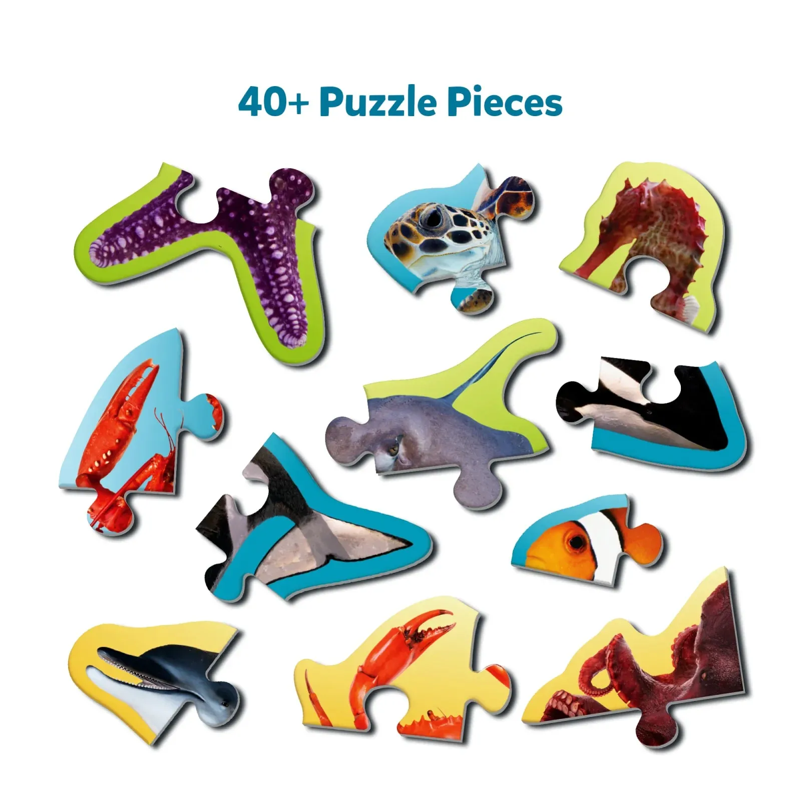Step By Step Puzzle: Underwater Animals (ages 3 )