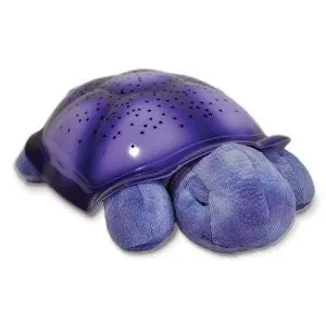 Twilight Turtle- Purple