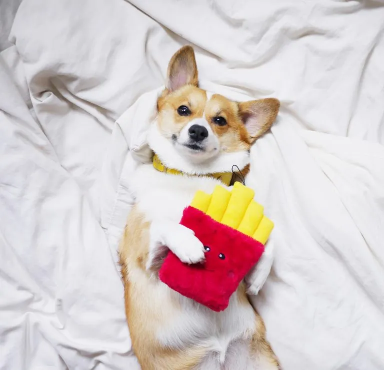 ZippyPaws NomNomz Fries Plush Dog Toy